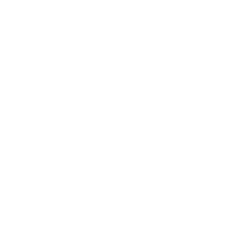 Data Entry Error Icon